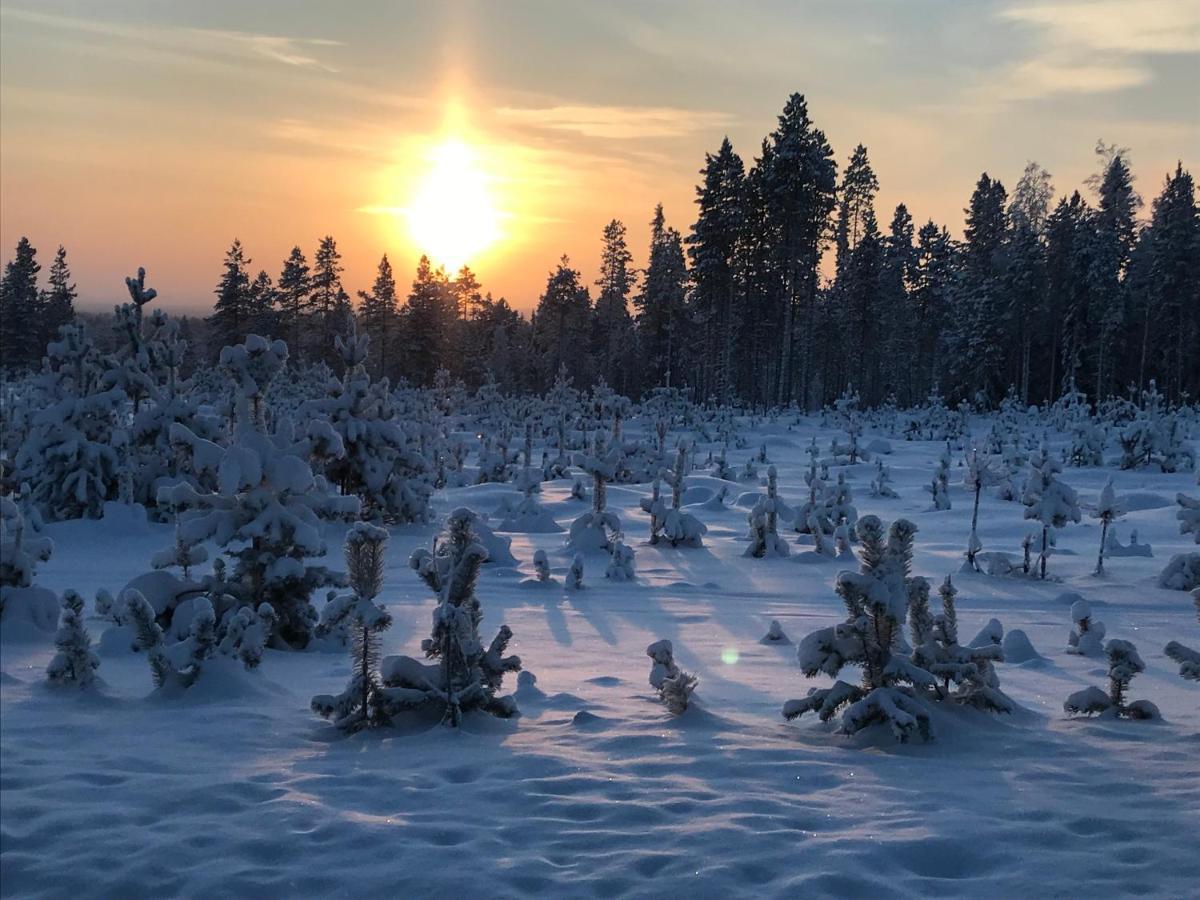 Soppela Retreat At The Arctic Circle Apartment Kemijärvi Екстериор снимка